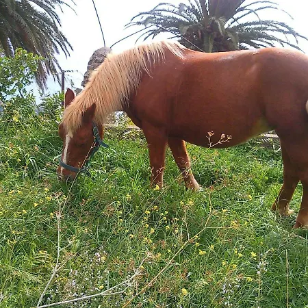 Azienda Agrituristica Le Terre Di San Leonardo Farm stay