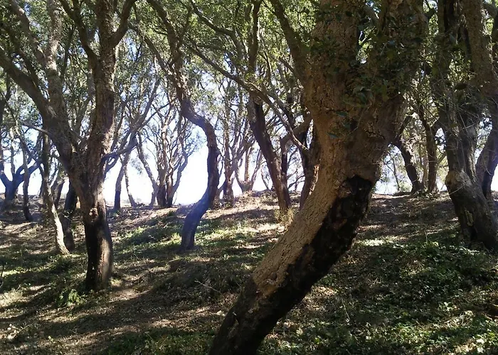 Alloggio per agriturismo Azienda Agrituristica Le Terre Di San Leonardo