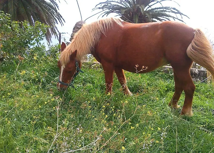 Azienda Agrituristica Le Terre Di San Leonardo Farmház