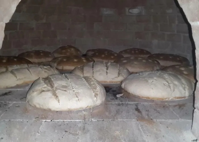 Azienda Agrituristica Le Terre Di San Leonardo